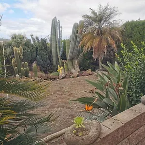Cactus Apartamento